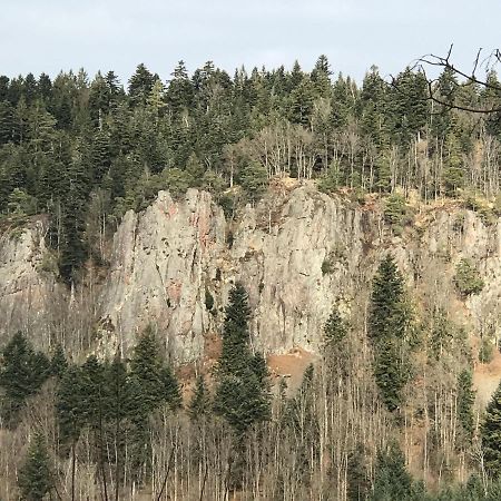 Ferienwohnungen Beilerstaedtle Oppenau Zewnętrze zdjęcie